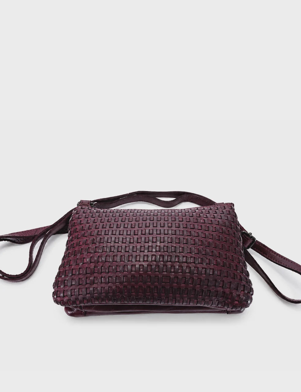 Paddington Purple