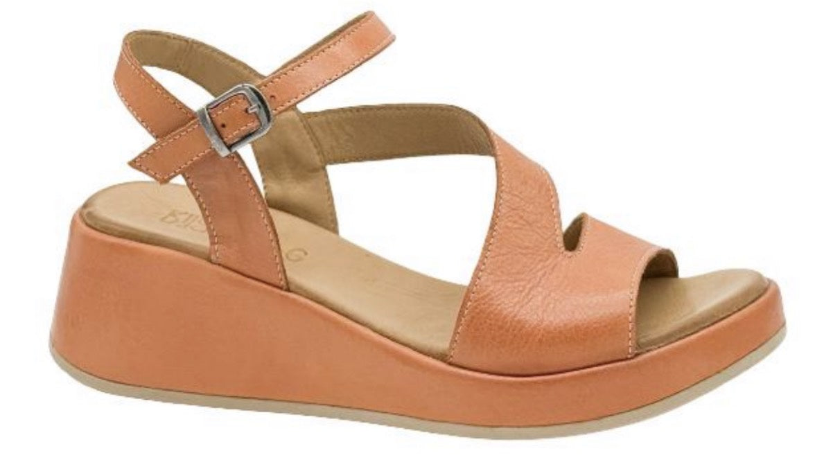 Pembroke Rust