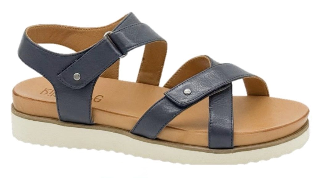 Daisy Navy