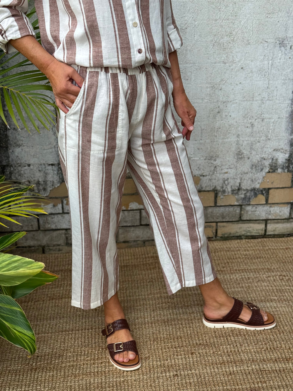 Danny Cocoa Stripe