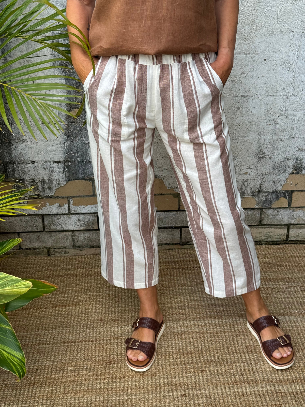 Danny Cocoa Stripe