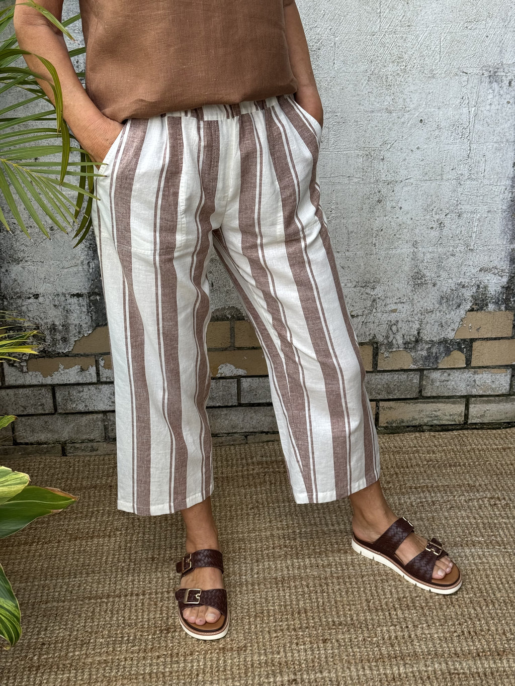Danny Cocoa Stripe