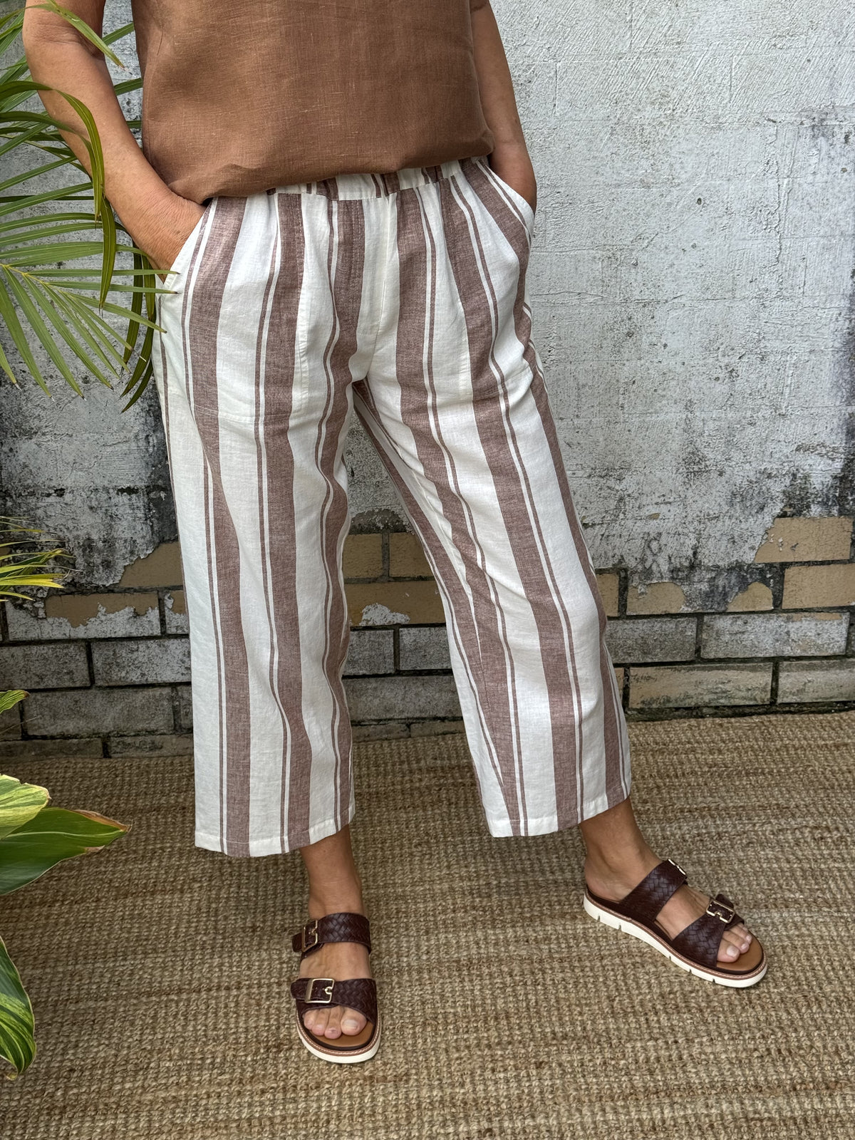 Danny Cocoa Stripe
